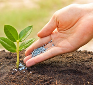 Fertilizers Technical