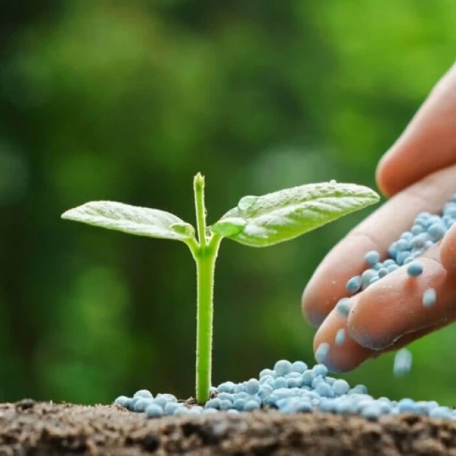 Fertilizers Technical